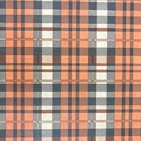 Black Cat Avenue 20" x 30" Printed Tissue Paper for Gift Wrapping, 20-Sheet, Desert Plaid