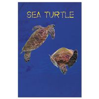 Tree-Free Greetings EcoNotes Stationary- Blank Note Cards with Envelopes, 4" x 6", Turtle Sea Modern, Boxed Set of 12 (FS66928)
