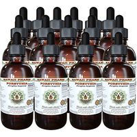 Forsythia Alcohol-Free Liquid Extract, Organic Forsythia (Forsythia Suspensa) Dried Fruit Glycerite Hawaii Pharm Natural Herbal Supplement 15x4 oz