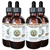 Stinging Nettle Alcohol-Free Liquid Extract, Organic Stinging Nettle (Urtica Dioica) Dried Root Glycerite Natural Herbal Supplement, Hawaii Pharm, USA 4x4 fl.oz