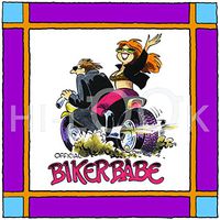 Hi-Look Microfiber Cleaning Cloth - Bike Babe