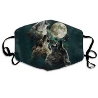 Three Wolf Moon Dust Mask,Washable and Reusable Cleaning Gardening Outdoor Activities Warm Windproof Mask