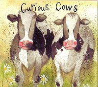 Alex Clark"Curious Cows" Blank Notecard Set 8 Cards 2 each 4 Designs