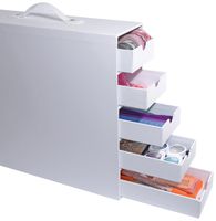 Totally-Tiffany Stash and Store 5-Drawer Case, White