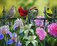 Hi-Look Microfiber Cleaning Cloth - Backyard Beauties Song Element