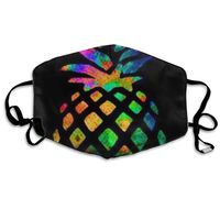 Rainbow Pineapple Dust Mask,Washable and Reusable Cleaning Gardening Outdoor Activities Warm Windproof Mask