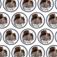 Premium Gift Wrap Wrapping Paper Roll Animals - Pig Flying