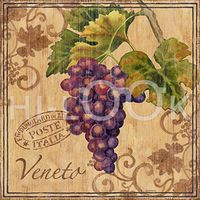 Hi-Look Microfiber Cleaning Cloth - Grapes Veneto