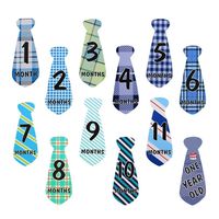 LFOEwpp7 Newborn Baby Photography Props, 12Pcs Memorial Milestone Number Month Tie Necktie Stickers, Infant Photography Posing Prop Snapshot Tool A
