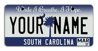 BleuReign Personalize Your Own 2016 South Carolina State Bicycle Bike Stroller Children's Toy Car 3"x6" License Plate Tag