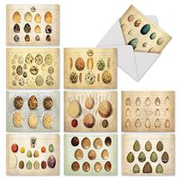 The Best Card Company - 10 Blank Food Note Cards Boxed (4 x 5.12 Inch) - All Occasion Assortment, Bulk Set - Egg-cellence M10035BK