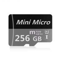 256GB SD Micro Memory Card with Adapter, High Speed 256GB SD Micro Card Class 10 Memory Card for Memory Expansion, Movie Music Storage, Portable Carrying, Data Copy and Traffic Recorder Mem (Gray)