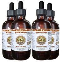 Black Radish Tincture, Black Radish (Raphanus Sativus Niger) Dried Root Liquid Extract 4x4 oz