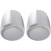 JBL C60PS/T-WH Hanging Pendant Subwoofer with Passive Crossover, White (sold as pair)