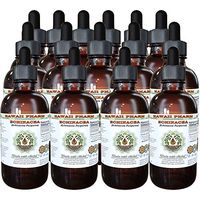 Echinacea Alcohol-Free Liquid Extract, Echinacea (Echinacea Purpurea) Dried Root Glycerite Hawaii Pharm Natural Herbal Supplement 15x4 oz