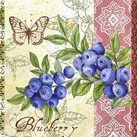 Hi-Look Microfiber Cleaning Cloth - Blueberries