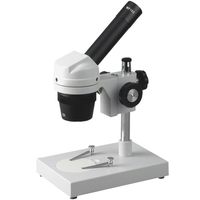 AmScope K102-ZZ Elementary Stereo/Dissecting Microscope, 10x and 25x Eyepiece, 20x-50x Magnification, Reversible Black/White Stage Plate