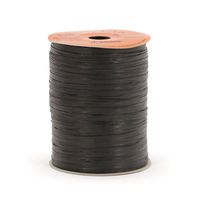 Berwick Offray Matte Black Raffia Ribbon, 1/4'' Wide, 100 Yards