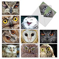10 Owl Themed Note Cards with Envelopes (4” x 5 ¼”), Boxed Set of Assorted Blank Greeting Cards, ‘What a Hoot’ All Occasion Stationery for Birthdays, Thank Yous, Holidays #M1769BN