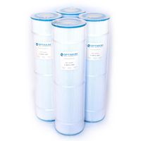 Pool Filter Replacement 4 Pack for Swim Clear C-4025/C4030; 425 SQ.FT. Cartridge Element (Pack of 4)