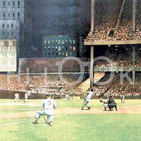 Hi-Look Microfiber Cleaning Cloth - Yankee Stadium