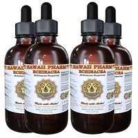 Echinacea Liquid Extract, Organic Echinacea (Echinacea Purpurea) Tincture 4x4 oz