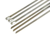 Pro Tie SS14N60 14-Inch Narrow Stainless Steel Cable Ties, 100 Pound Tensile Strength, 60-Pack,