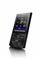 Sony Walkman NWZE345BLK 16 GB Video MP3 Player (Black)