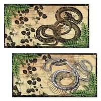 Set of 2 Decorative Match Boxes (Vintage Snakes)