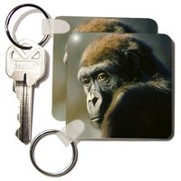 3dRose Gorilla Portrait - Key Chains, 2.25 x 4.5 inches, set of 2 (kc_2546_1)