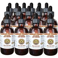 Calamus and Ginger Liquid Extract, Organic Calamus (Acorus Calamus) and Organic Ginger (Zingiber officinalis) Dried Root Tincture Supplement 15x4 oz