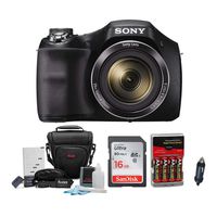 Sony DSC-H300 Digital Camera with 16GB SD Card and Accessory Bundle