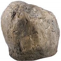 XtremeLife Rock With Motion Sensor