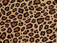 Pack Of 200, Animal Print Leopard Kraft Tissue Paper 20" X 30" Sheets Tissue Prints Made In USA