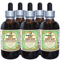 Saint John's Wort (Hypericum Perforatum) Glycerite, Organic Dried Herb Alcohol-Free Liquid Extract (Brand Name: HerbalTerra, Proudly Made in USA) 5x2 fl.oz (5x60 ml)