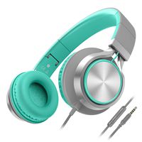 Besom i77 Foldable Headphones with Microphone and Volume Control,Adjustable Wired On-Ear Stereo Bass Earphones for Cellphones Smartphone Tablet Laptop MP3/4Grey/Mint