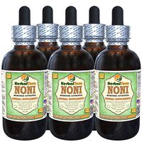 Noni (Morinda Citrofol) Glycerite, Organic Dried Fruits Alcohol-Free Liquid Extract (Brand Name: HerbalTerra, Proudly Made in USA) 5x2 fl.oz (5x60 ml)