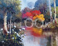 Hi-Look Microfiber Cleaning Cloth - Vibrant Reflection