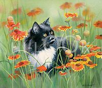 Hi-Look Microfiber Cleaning Cloth, bird design - Lucy in Meadow