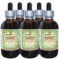 Cranberry (Vaccinium Macrocarpon) Glycerite, Organic Dried Berries Alcohol-Free Liquid Extract (Brand Name: HerbalTerra, Proudly Made in USA) 5x2 fl.oz (5x60 ml)
