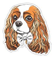 Cavalier King Charles Spaniel portrait Vinyl Bumper Sticker Decal Dog Family Pet Love