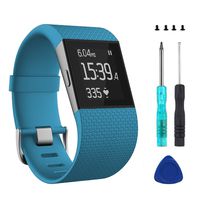 Wizvv Compatible Bands Replacement for Fitbit Surge, with Metal Buckle Fitness Wristband Strap Women Men Large Small (Blue,Small)