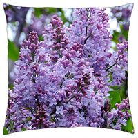 Phonak Large Open domes