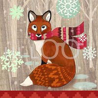 Hi-Look Microfiber Cleaning Cloth - Fox