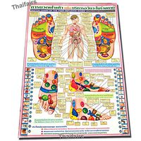 Poster Sketch Chart of The Foot REFLEXIVE Zones by Traditional Thai Foot Massage Reflexology