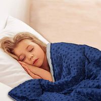 Kawaii_Kids Heavy Weighted Blanket for Kids,Adults, Comfortable Blanket (Dark Grey Inner,Blue Cover 36''x48'' 5Lbs)