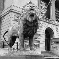 Chicago 240 17 1 Artwork Micro Fiber Cleaning Cloth