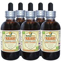 Reishi Mushroom (Ganoderma Lucidum) Tincture, Organic Dried Mushrooms Liquid Extract (Brand Name: HerbalTerra, Proudly Made in USA) 5x2 fl.oz (5x60 ml)
