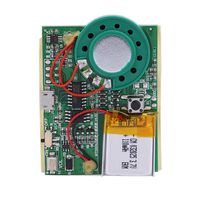 Voice Module, USB Music Sound Recording Module Chip with Button, Photosensitive Control Rechargeable Lithium Battery Recordable Module for DIY Card, Gift Box, Cake Box(Button)