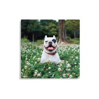 Custom Metal Wall Décor -12x12